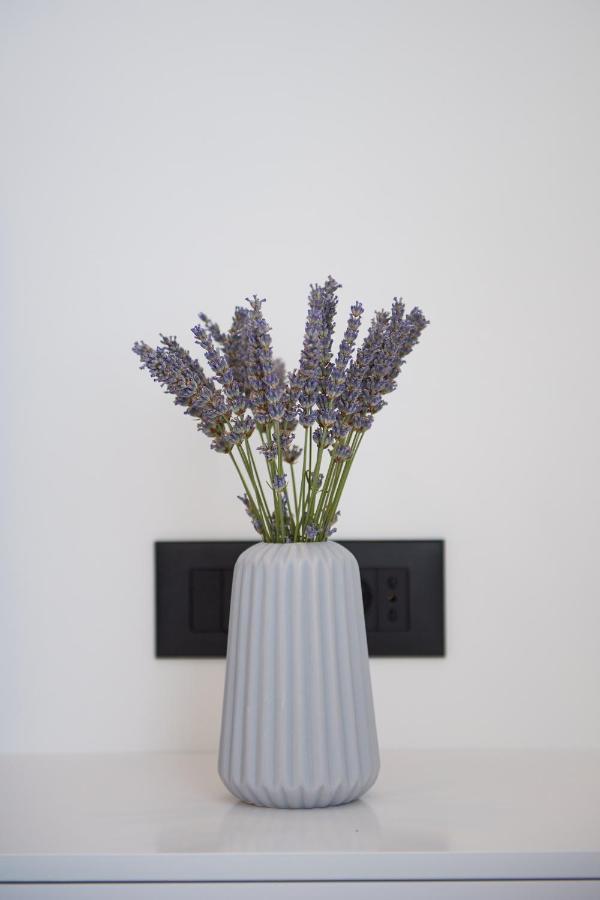 Apartment Elli تروغير المظهر الخارجي الصورة